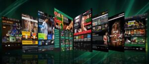 Read more about the article Online Betting Games